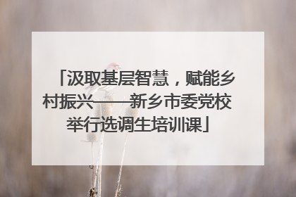 汲取基层智慧，赋能乡村振兴——新乡市委党校举行选调生培训课