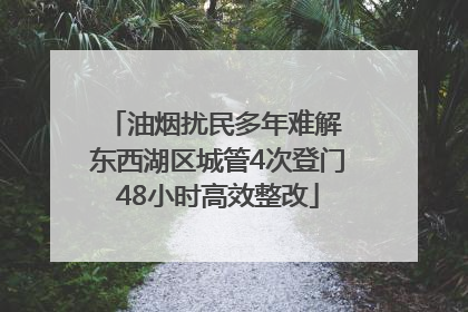 油烟扰民多年难解 东西湖区城管4次登门48小时高效整改