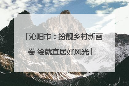 沁阳市：扮靓乡村新画卷 绘就宜居好风光