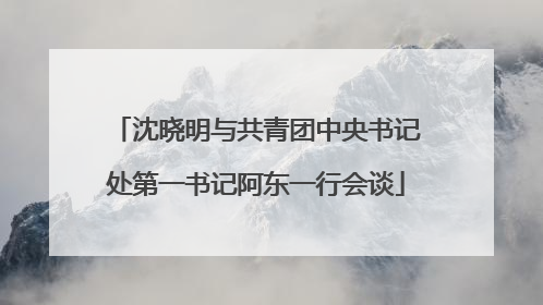 沈晓明与共青团中央书记处第一书记阿东一行会谈
