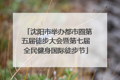 沈阳市举办都市圈第五届徒步大会暨第七届全民健身国际徒步节