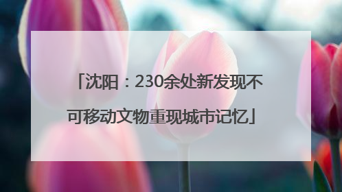 沈阳：230余处新发现不可移动文物重现城市记忆