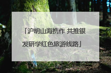沪明山海携作 共推银发研学红色旅游线路