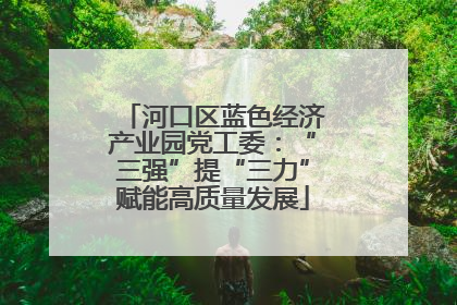 河口区蓝色经济产业园党工委：“三强”提“三力”赋能高质量发展