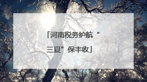 河南税务护航“三夏”保丰收