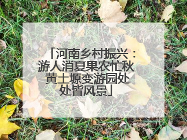 河南乡村振兴：游人消夏果农忙秋 黄土塬变游园处处皆风景