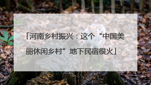 河南乡村振兴：这个“中国美丽休闲乡村”地下民宿很火