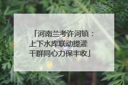 河南兰考许河镇：上下水库联动提灌 干群同心力保丰收