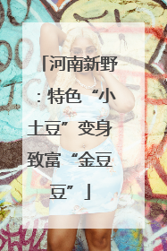 河南新野：特色“小土豆”变身致富“金豆豆”