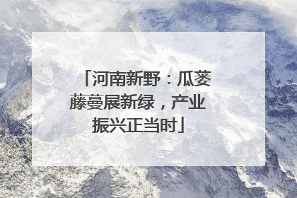 河南新野：瓜蒌藤蔓展新绿，产业振兴正当时