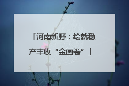 河南新野：绘就稳产丰收“金画卷”
