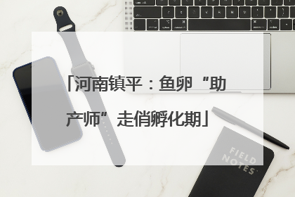 河南镇平：鱼卵“助产师”走俏孵化期