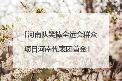 河南队笑捧全运会群众项目河南代表团首金