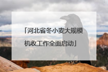 河北省冬小麦大规模机收工作全面启动