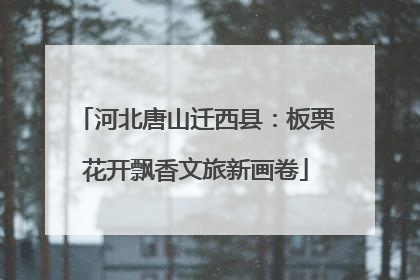 河北唐山迁西县：板栗花开飘香文旅新画卷