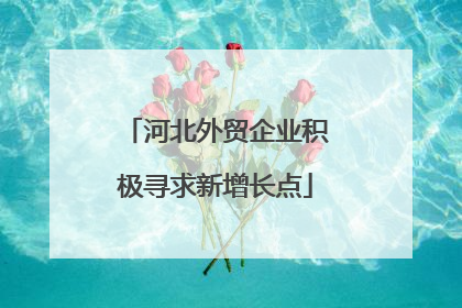 河北外贸企业积极寻求新增长点