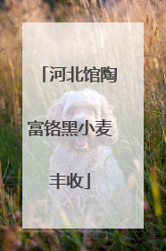 河北馆陶富铬黑小麦丰收