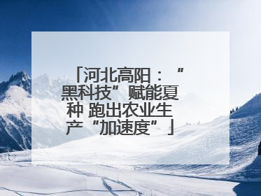 河北高阳：“黑科技”赋能夏种 跑出农业生产“加速度”