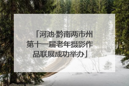 河池·黔南两市州第十一届老年摄影作品联展成功举办