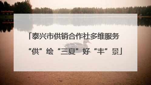 泰兴市供销合作社多维服务 “供”绘“三夏”好“丰”景