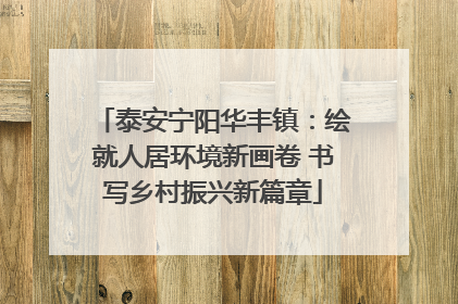 泰安宁阳华丰镇：绘就人居环境新画卷 书写乡村振兴新篇章
