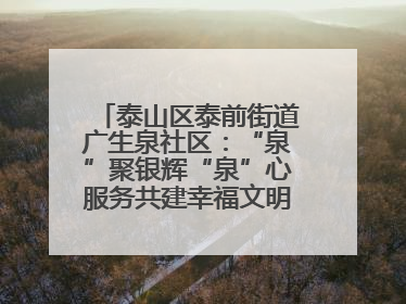泰山区泰前街道广生泉社区：“泉”聚银辉“泉”心服务共建幸福文明和谐家园