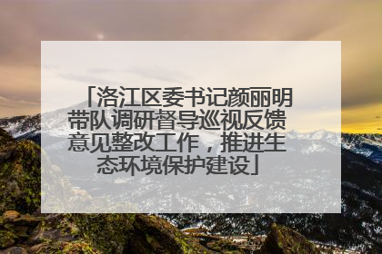 洛江区委书记颜丽明带队调研督导巡视反馈意见整改工作，推进生态环境保护建设