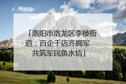 洛阳市洛龙区李楼街道：百企千店齐拥军 共筑军民鱼水情