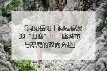 洞见岳阳丨洞庭碧波迎“归客”：一座城市与麋鹿的双向奔赴