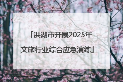 洪湖市开展2025年文旅行业综合应急演练