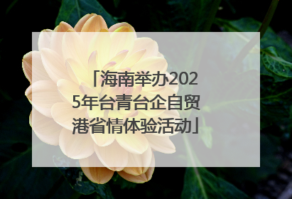 海南举办2025年台青台企自贸港省情体验活动