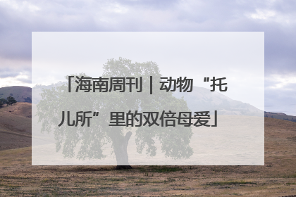 海南周刊｜动物“托儿所”里的双倍母爱
