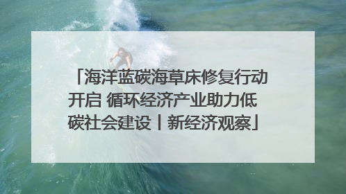 海洋蓝碳海草床修复行动开启 循环经济产业助力低碳社会建设丨新经济观察