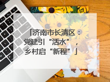 济南市长清区：党建引“活水”，乡村启“新程”