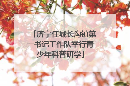 济宁任城长沟镇第一书记工作队举行青少年科普研学