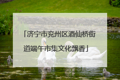 济宁市兖州区酒仙桥街道端午市集文化飘香