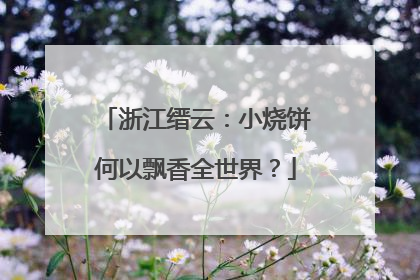 浙江缙云：小烧饼何以飘香全世界？