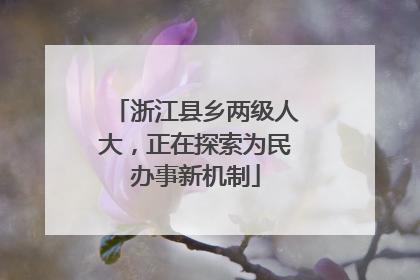 浙江县乡两级人大，正在探索为民办事新机制