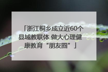 浙江桐乡成立近60个县域教联体 做大心理健康教育“朋友圈”