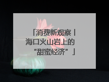 消费新观察丨海口火山岩上的“甜蜜经济”