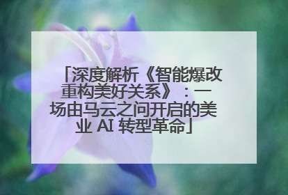 深度解析《智能爆改 重构美好关系》：一场由马云之问开启的美业 AI 转型革命