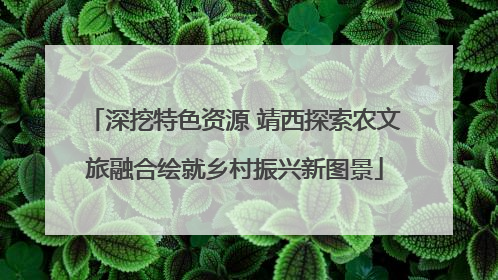 深挖特色资源 靖西探索农文旅融合绘就乡村振兴新图景