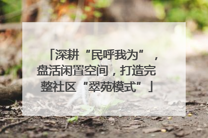 深耕“民呼我为”，盘活闲置空间，打造完整社区“翠苑模式”