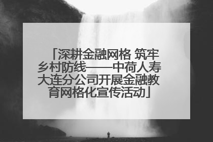 深耕金融网格 筑牢乡村防线——中荷人寿大连分公司开展金融教育网格化宣传活动