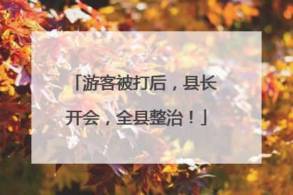 游客被打后，县长开会，全县整治！
