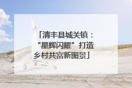 清丰县城关镇：“星辉闪耀”打造乡村共富新图景