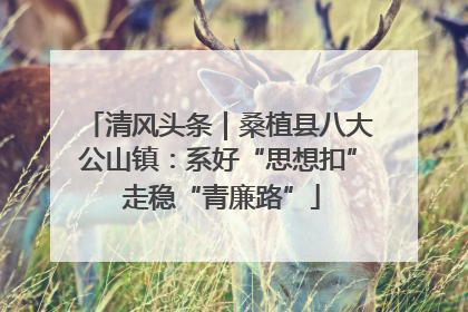 清风头条｜桑植县八大公山镇：系好“思想扣” 走稳“青廉路”