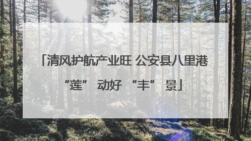 清风护航产业旺 公安县八里港 “莲” 动好 “丰” 景