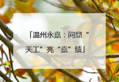 温州永嘉：问鼎“天工”亮“嘉”绩