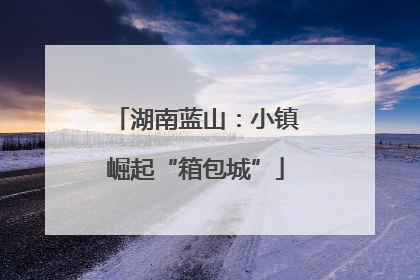 湖南蓝山：小镇崛起“箱包城”